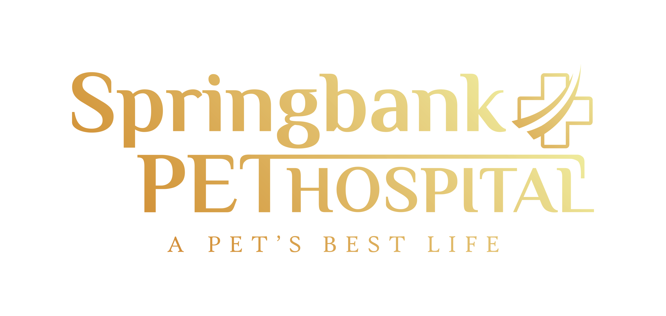 No_bankground-Springbank-new_logo