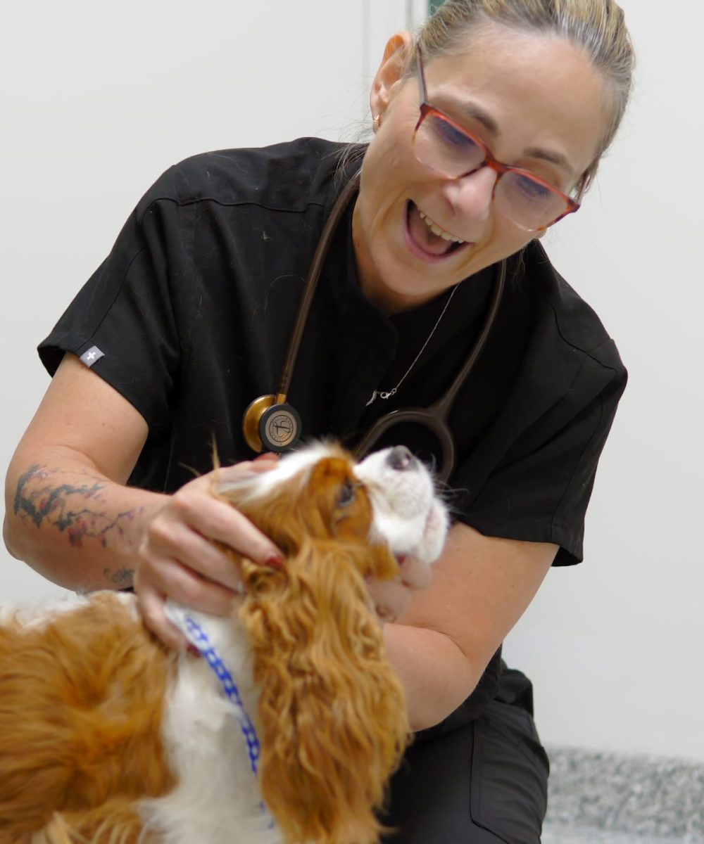 Springbank Pet Hospital - 0825-Cam-1_0019