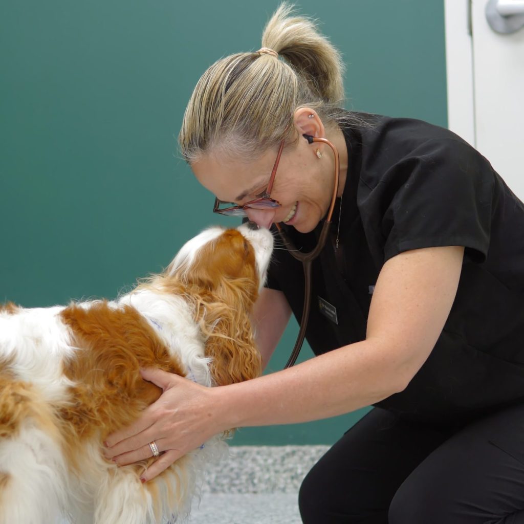 Springbank Pet Hospital - 0825-Cam-1_0021
