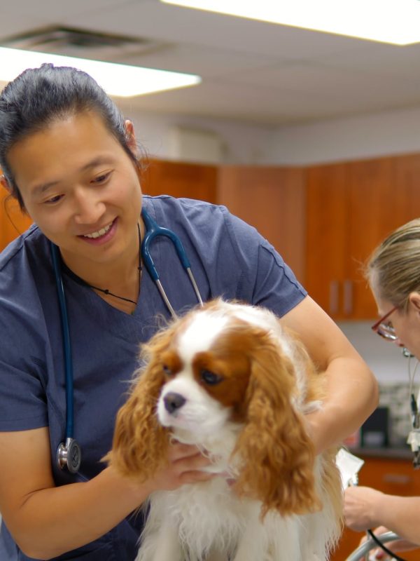 Springbank Pet Hospital - 0825-Cam-1_0027