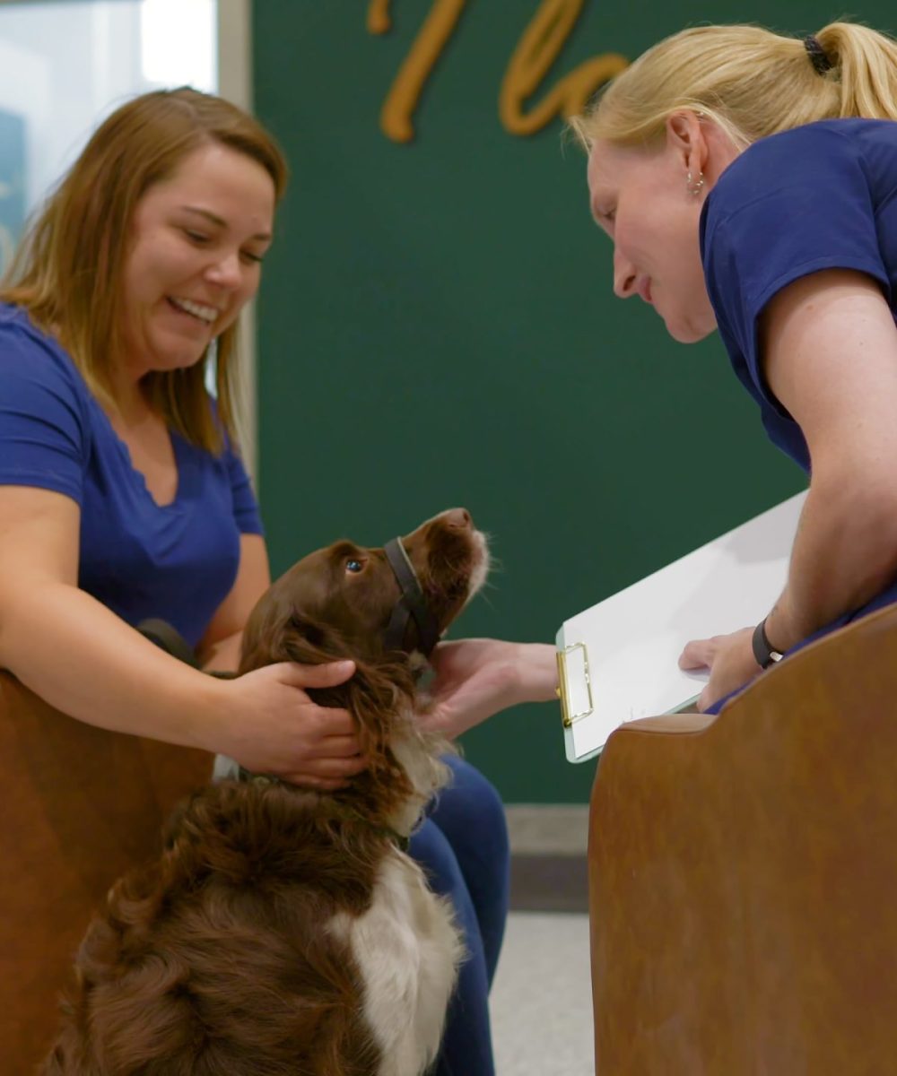 Springbank Pet Hospital - 0825-Cam-1_0046