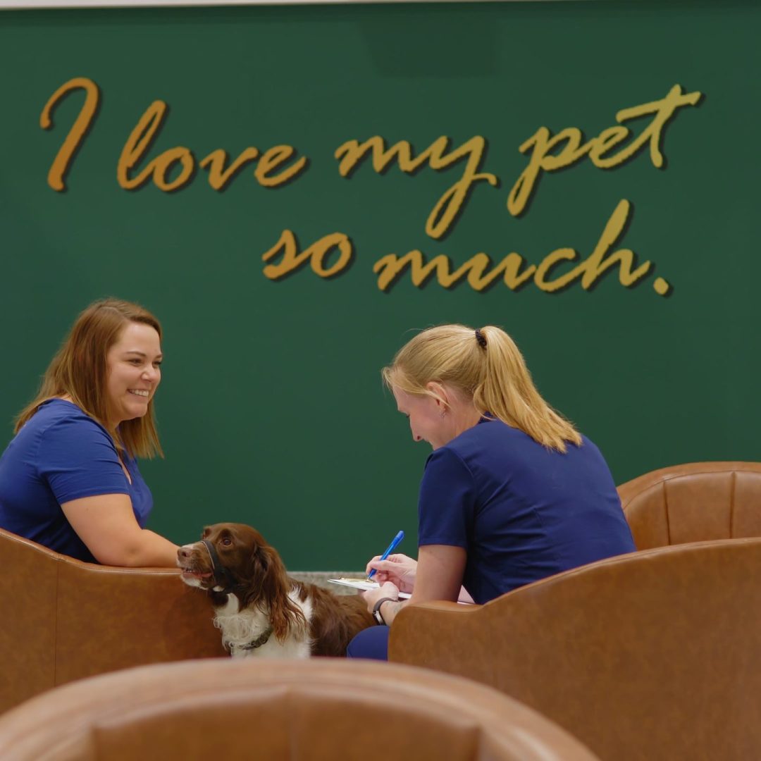 Springbank Pet Hospital - 0825-Cam-1_0048