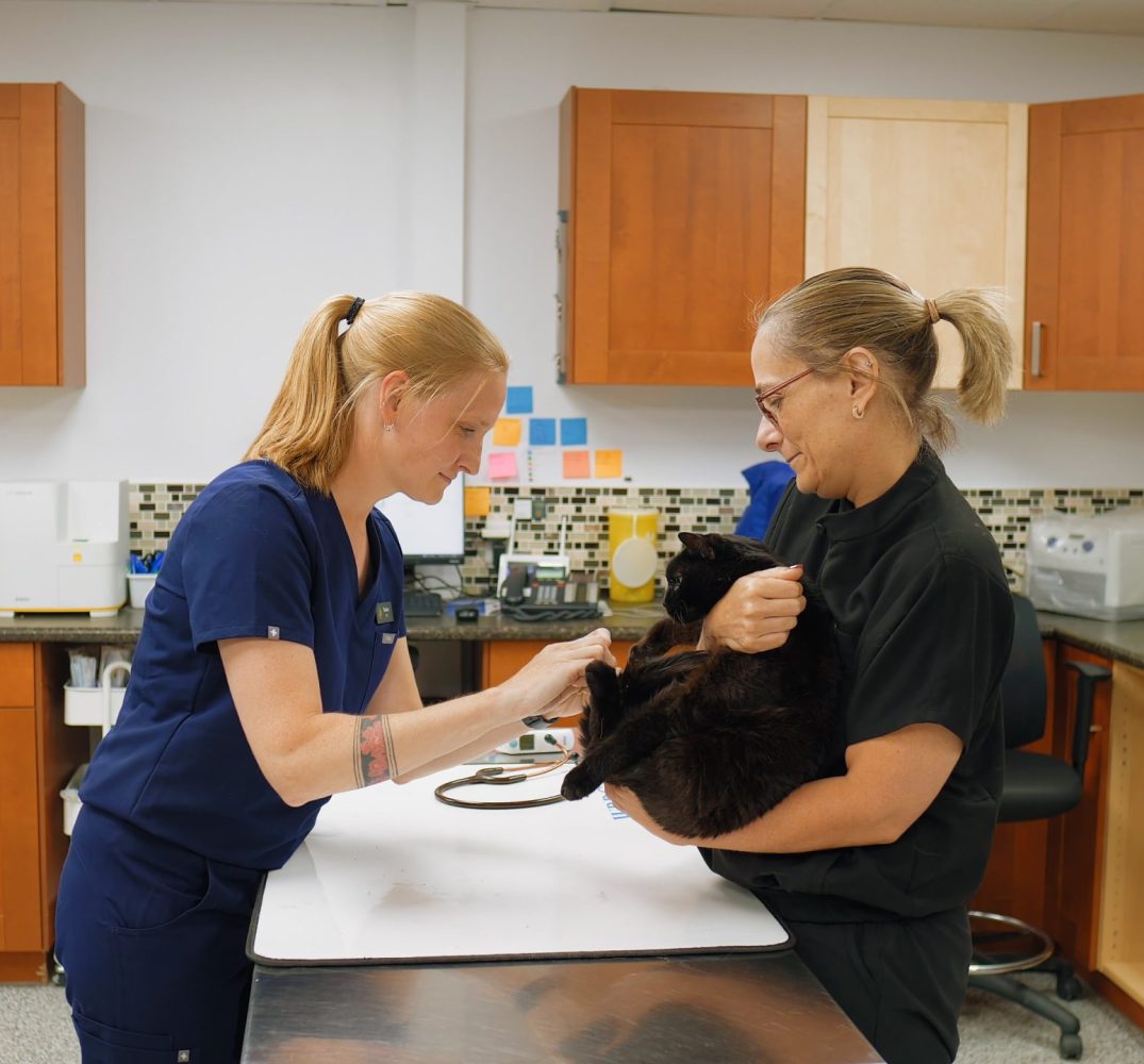 Springbank Pet Hospital - 0825-Cam-2_0136