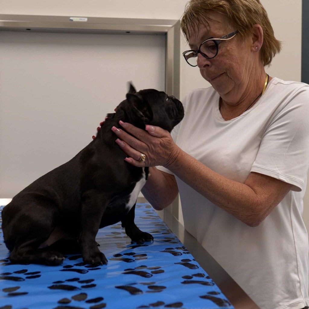 Senior Pet Care in Springbank, Veterinary Clinic
