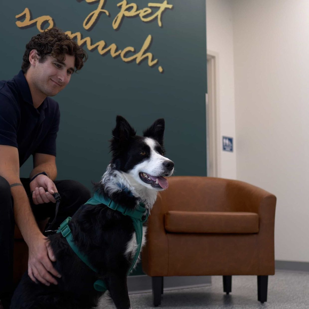 Springbank Pet Hospital, Vet Clinic in Springbank 6