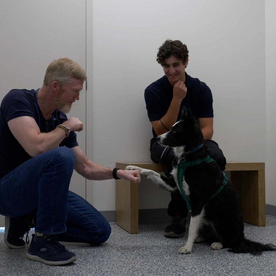Dr. Jeff Dand Veterinarian at Springbank Pet Hospital