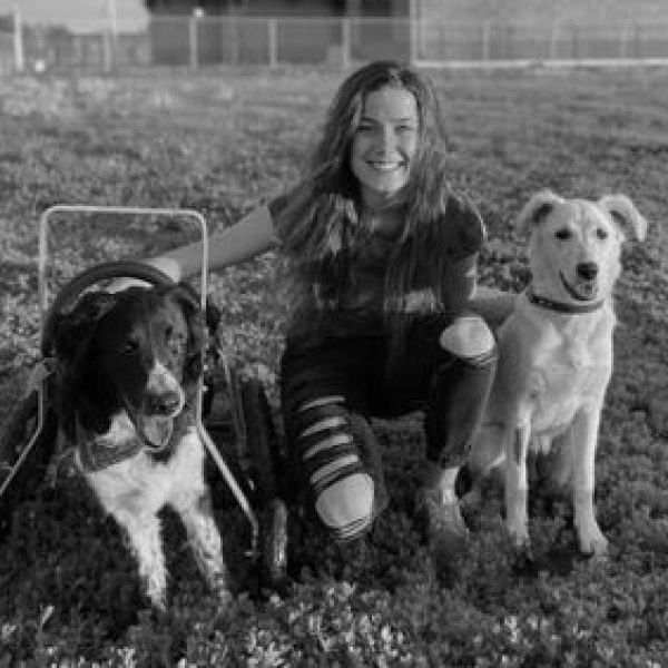 alex springbank pet hospital