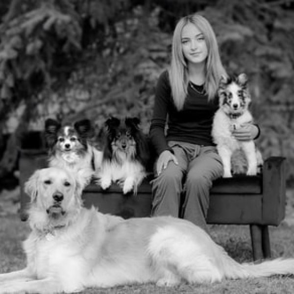 lauren springbank pet hospital