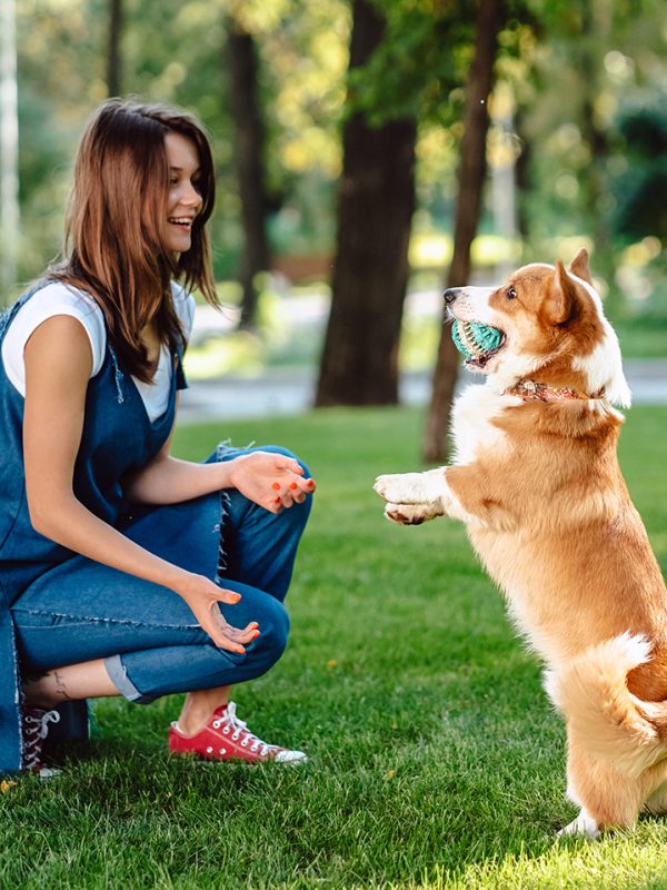 portrait-of-woman-with-dog-welsh-corgi-pembroke-FGH6B9Y.jpg