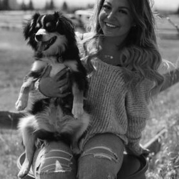 sage springbank pet hospital